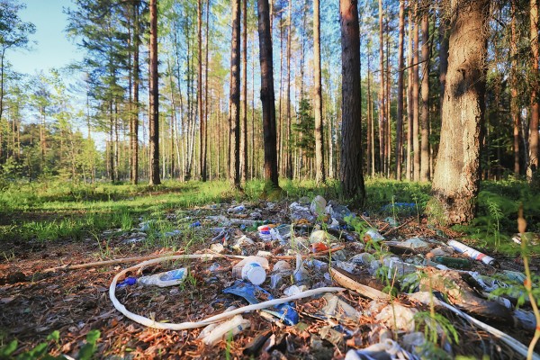Litter scattered on a forest floor - Don't Love it to Death
